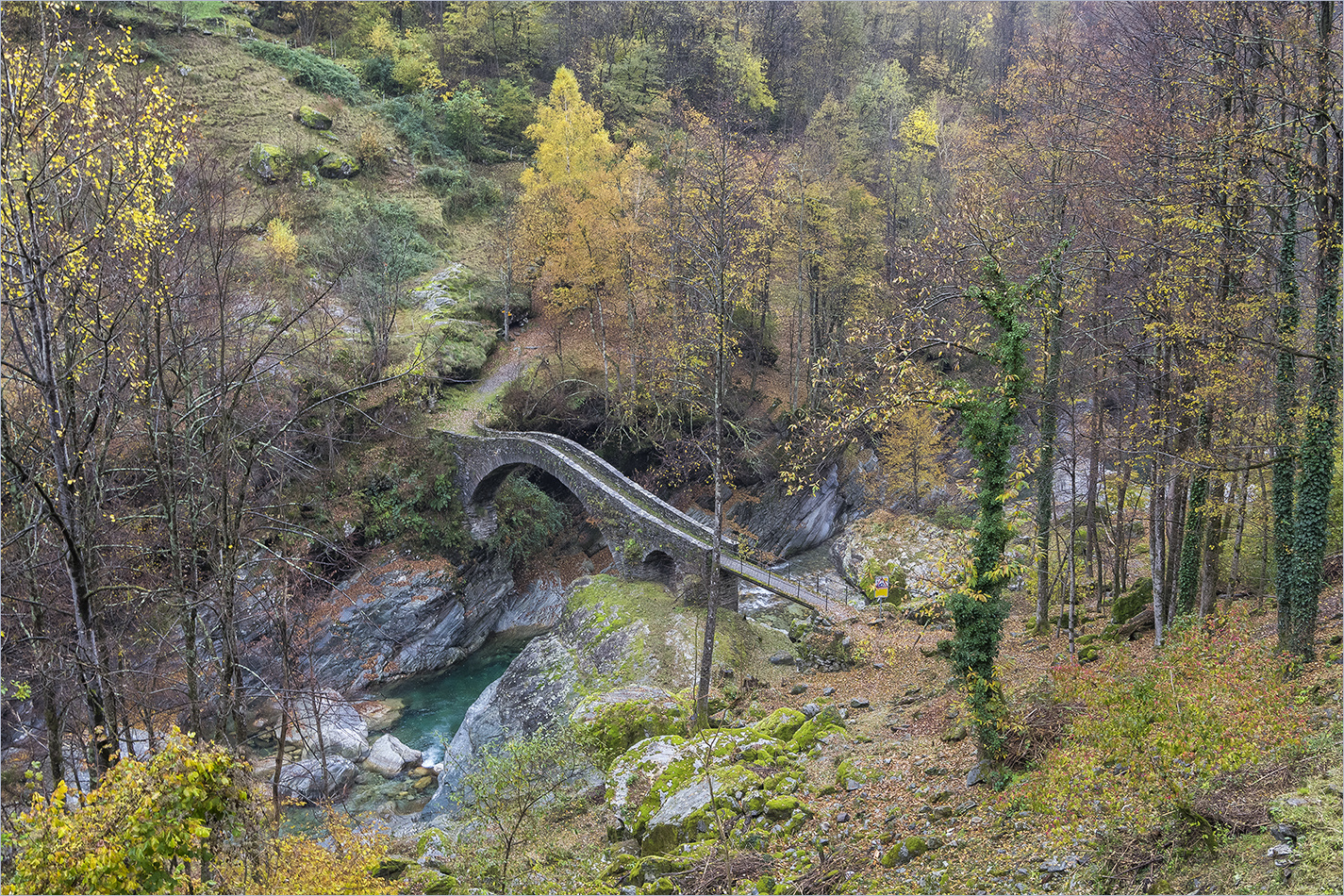 la ponte della merla