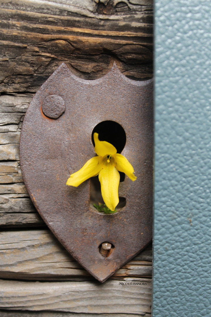 La porta del mio cuore.