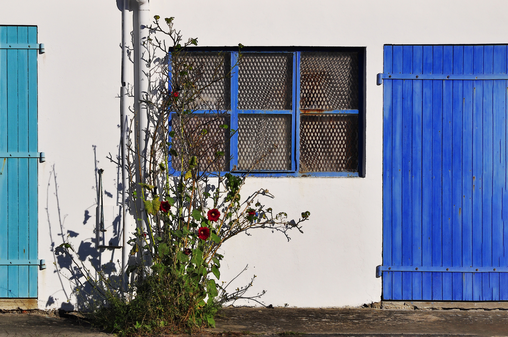 La porte bleue