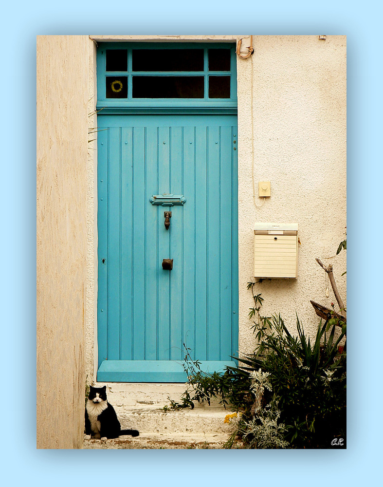 La porte bleue au chat.