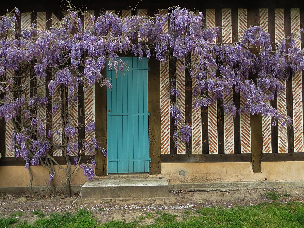 la porte fleurie !!!