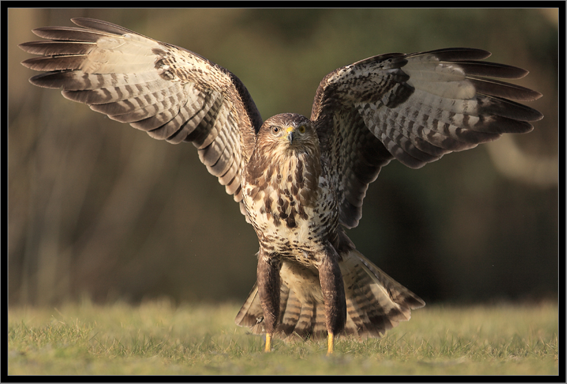 La pose de la buse variable.