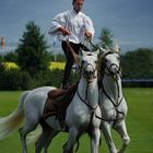 La poste hongroise au Polo Club de Veytay