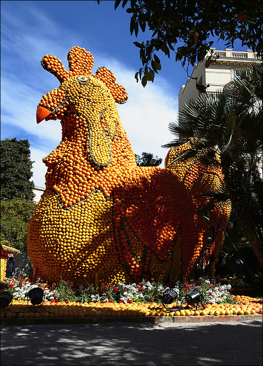 La poule aux fruits d'or