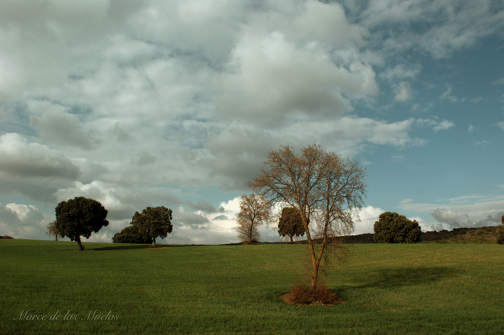 ...la pradera...