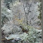 La première neige de Moscou