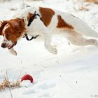 la prima corsetta sulla neve...