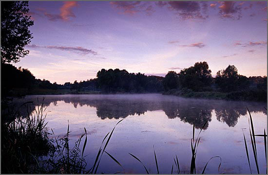 La prima luce in palude