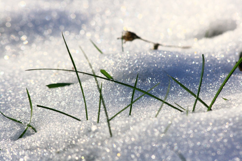 la prima neve...