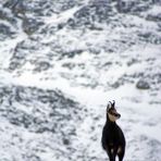 La prima neve.