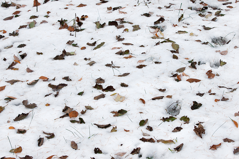 La prima neve..