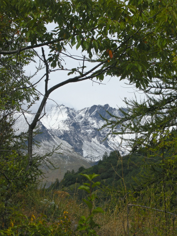 La prima neve