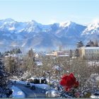 La prima neve e l'ultima rosa