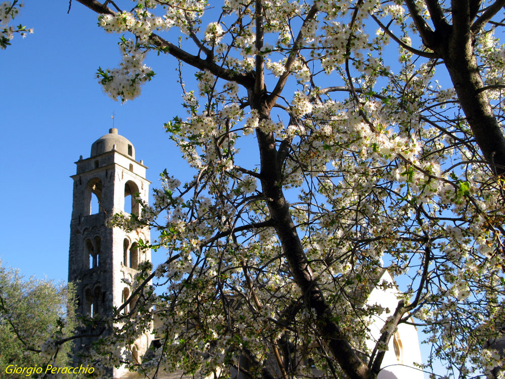 La primavera