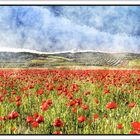 La Primavera al Rojo Vivo (foto de Lola Diaz Somodevilla) (efecto acuarela)