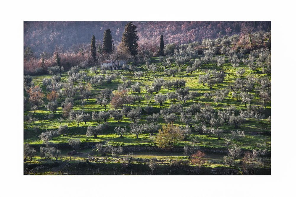 La Primavera alle porte