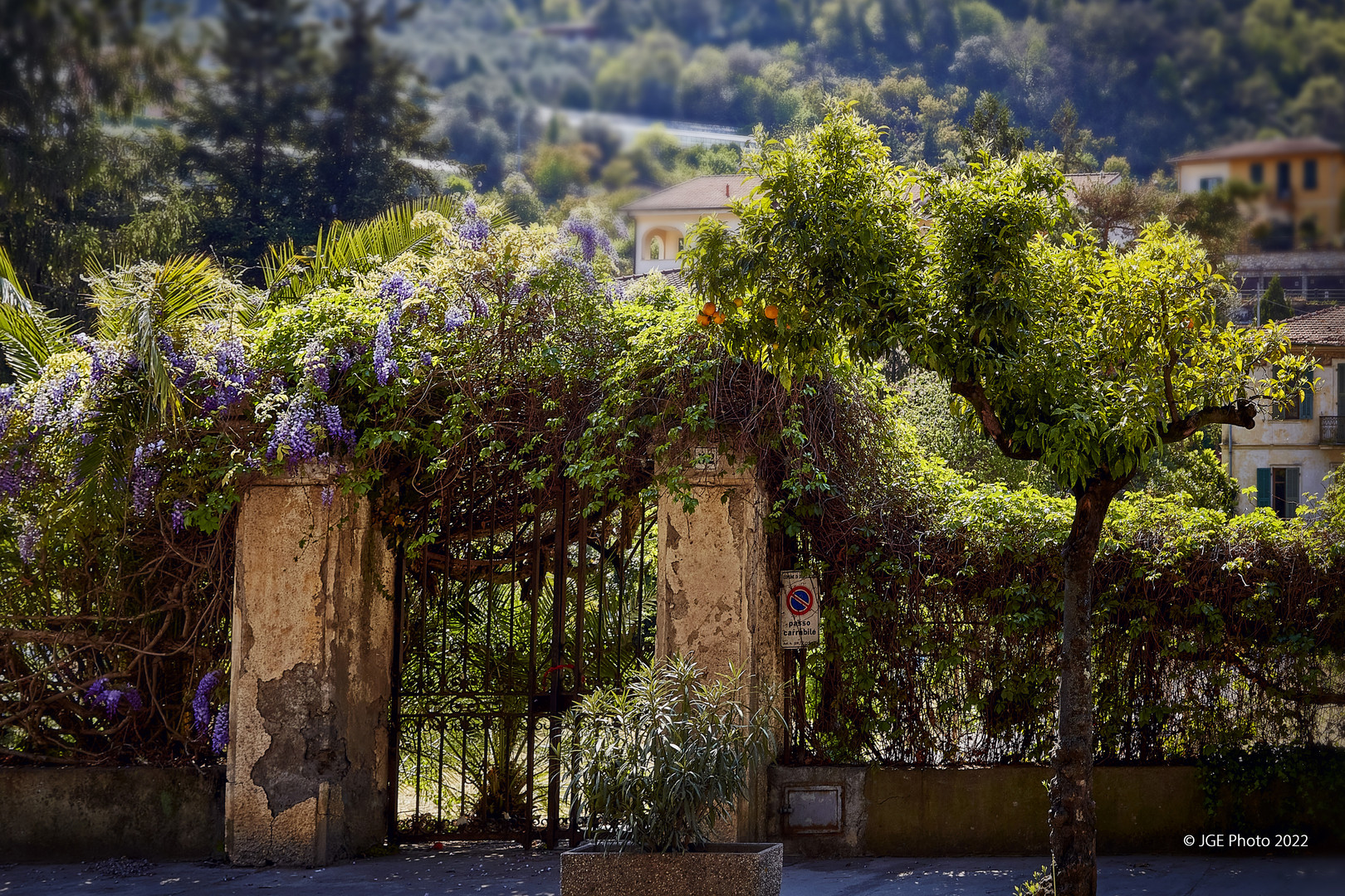 La primavera de Dolceaqua