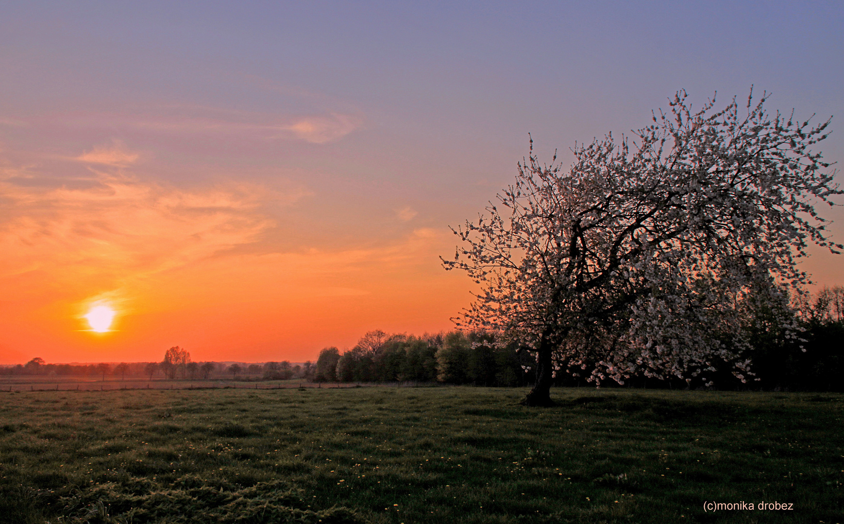 *La primavera*