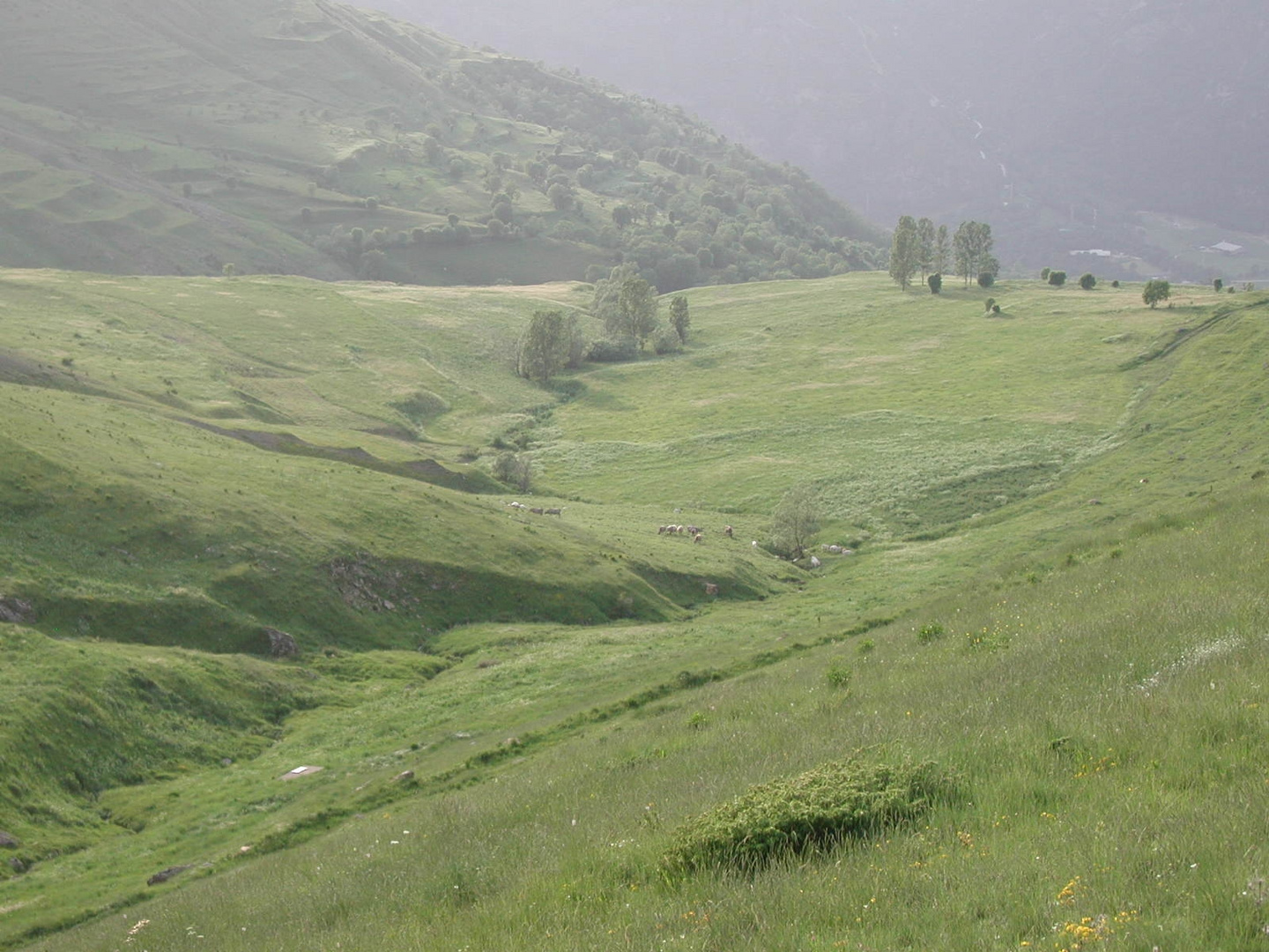 La primavera en Durro (Vall de Boí)