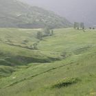 La primavera en Durro (Vall de Boí)