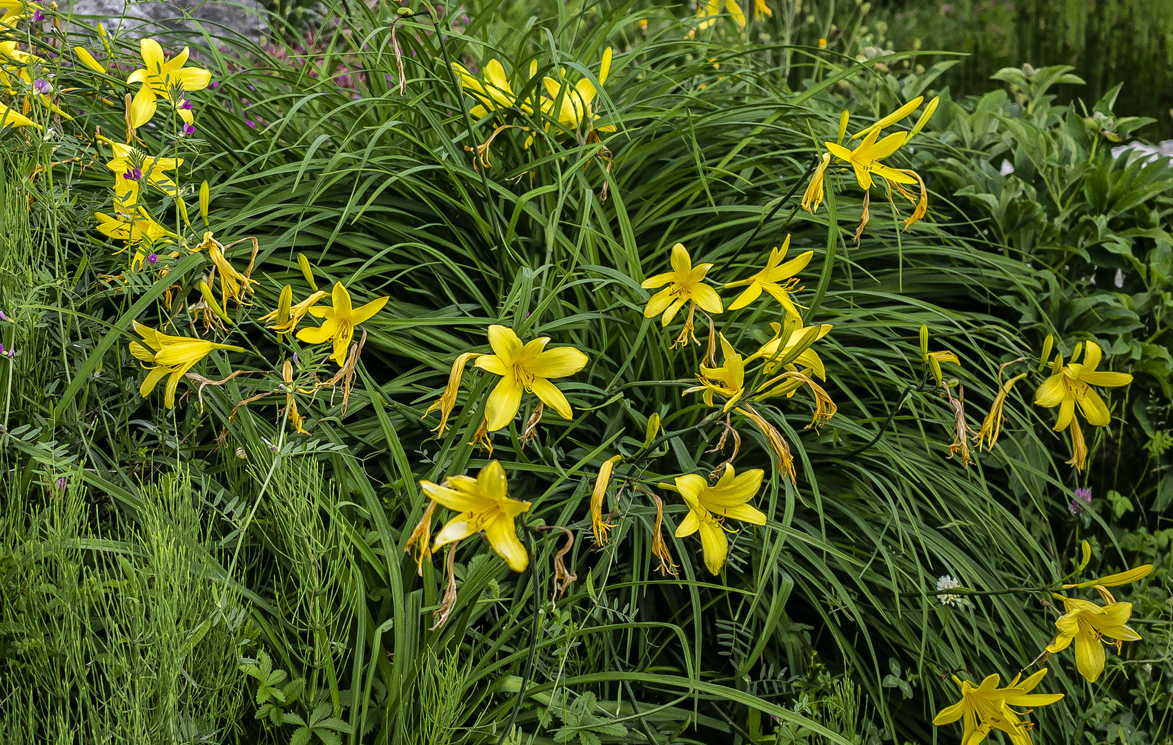 La primavera en Eslovenia