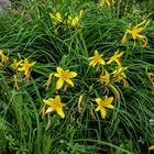 La primavera en Eslovenia