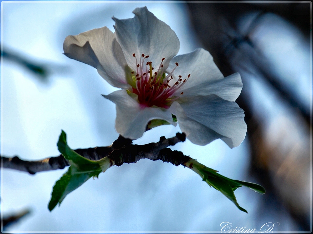 La primavera non è poi così lontana