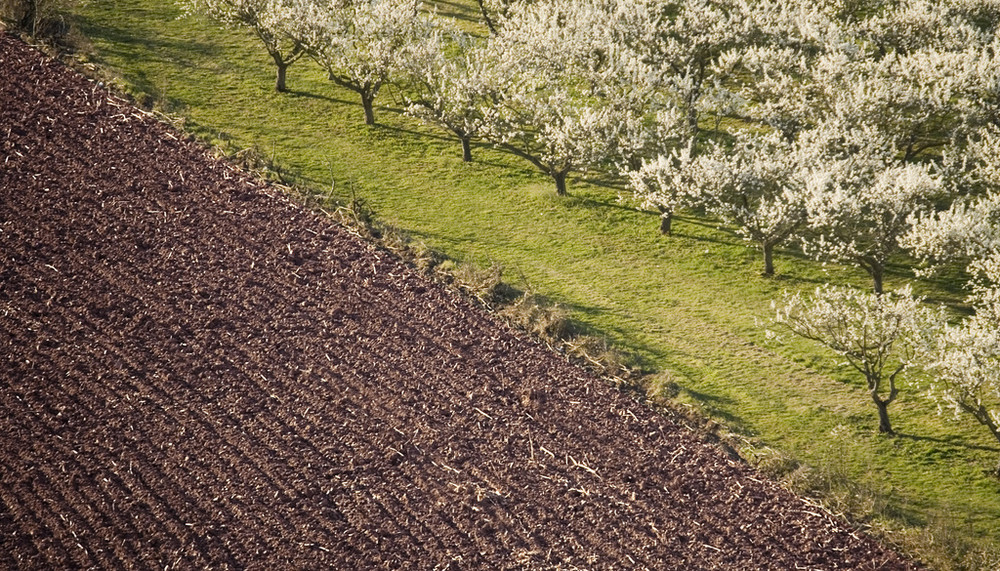 La primavera y el barbecho