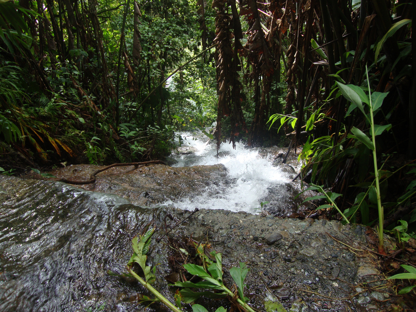 la privacidad del agua