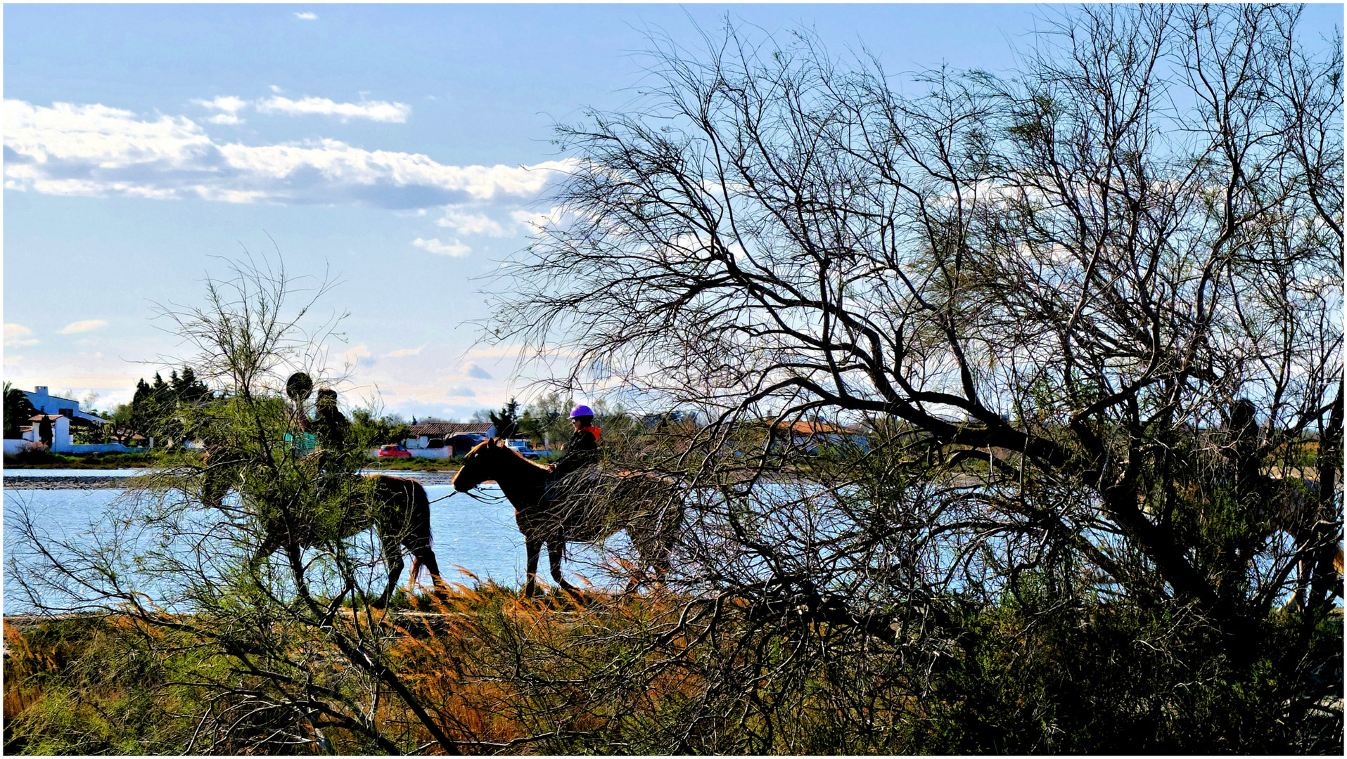 La promenade camarguaise