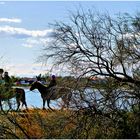 La promenade camarguaise