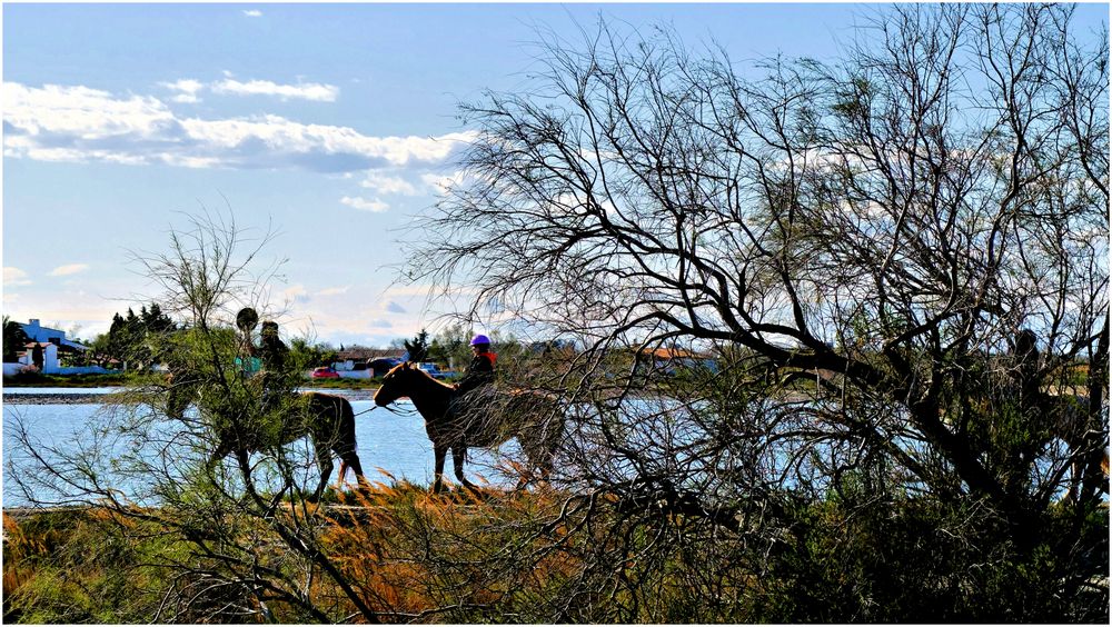 La promenade camarguaise