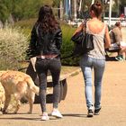 LA PROMENADE DU CHIEN