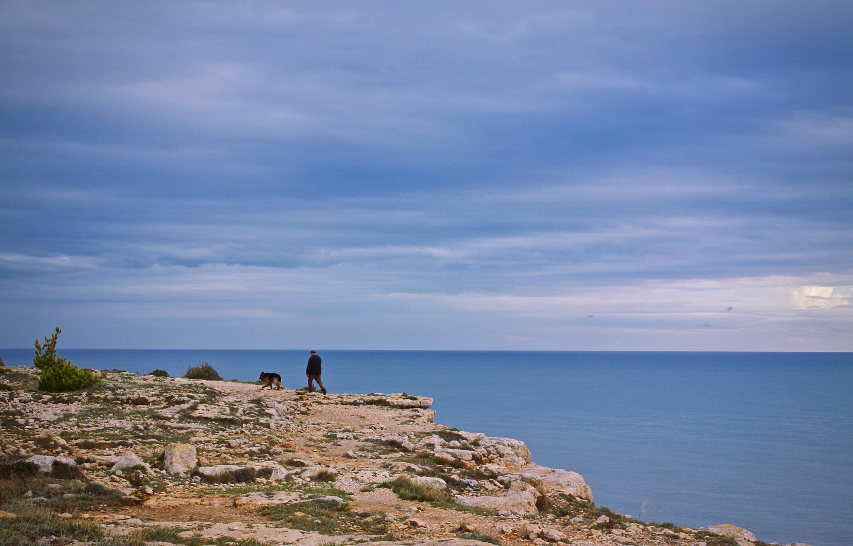 La promenade du chien