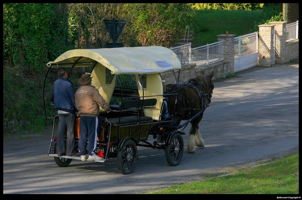 " La promenade en charette "