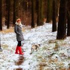 La promenade en forêt avec notre chien