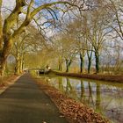 ...la promenade sur le canal !!!...