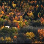 .... LA PROSSIMA PENNELLATA SARA' DELL'INVERNO ....