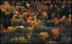 IT: .... LA PROSSIMA PENNELLATA SARA' DELL'INVERNO .... von RUFFINI SILVANO 