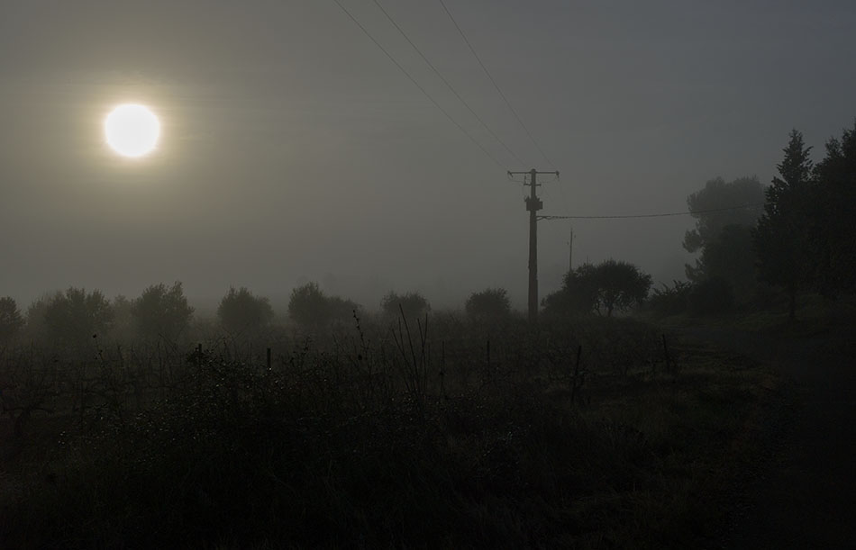 la provence au petit matin, decembre 2013 #01