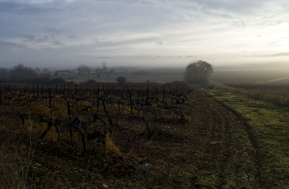 la provence au petit matin, decembre 2013 #03