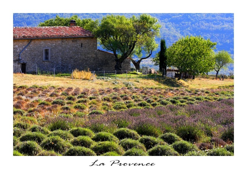 La Provence