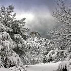 La provence dans son manteau blanc.