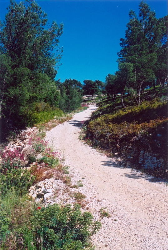 La provence dans toute sa splendeur