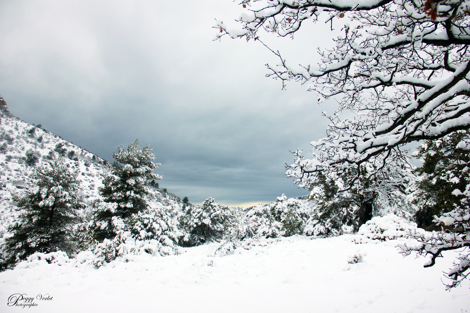 la provence sous son blanc manteau.