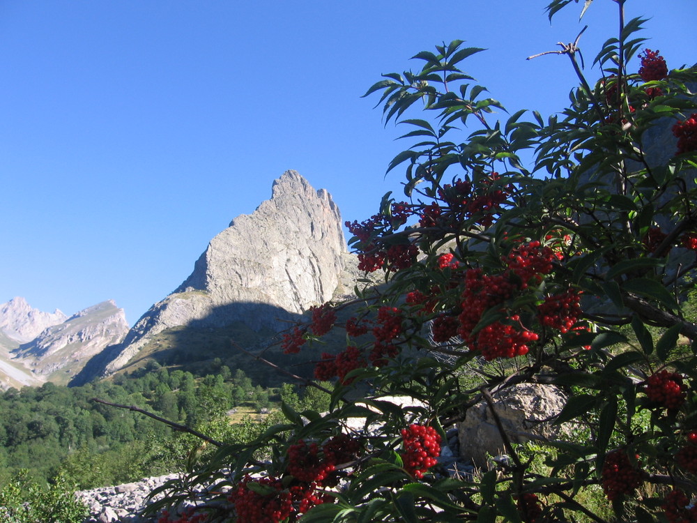 La Provenzale - Chiappera