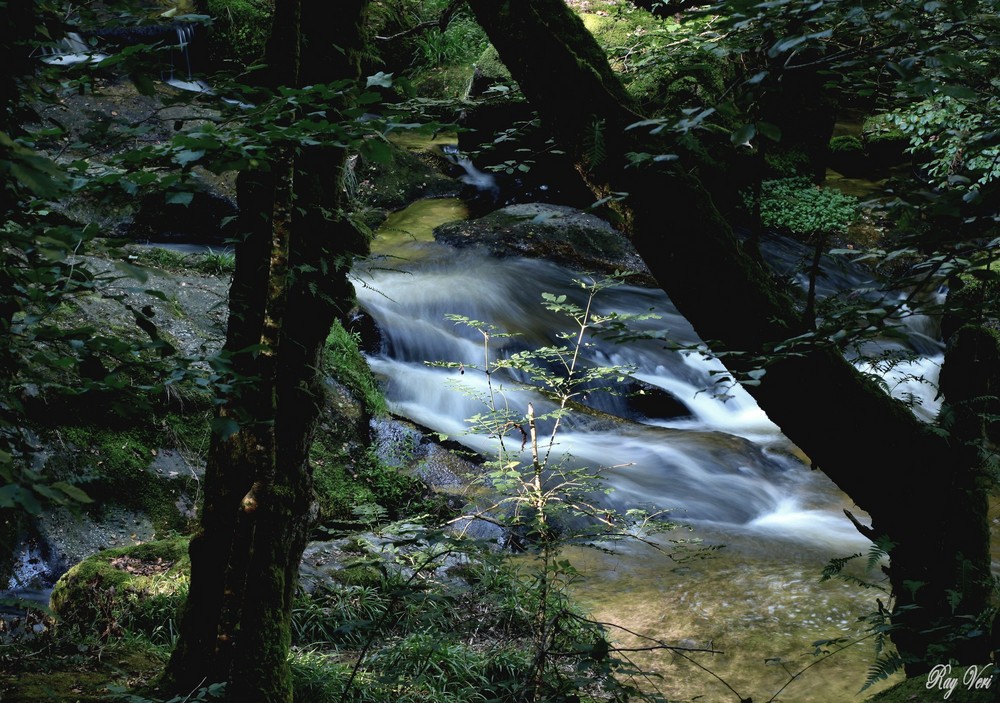 la p'tite cascade