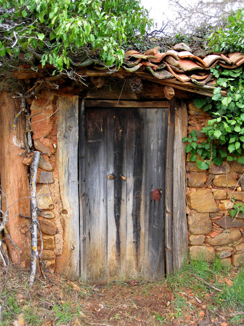 LA PUERTA DEL HUERTO