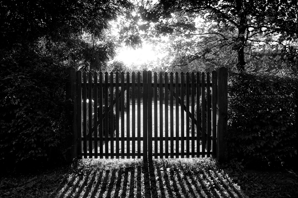 la puerta en el jardin I