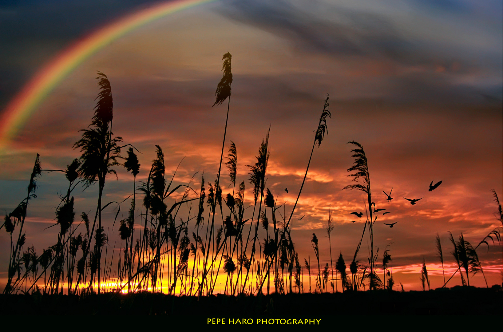 La puesta de sol.